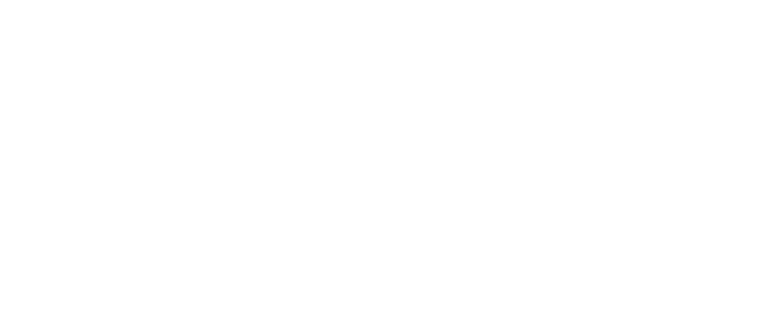 FV_title_01